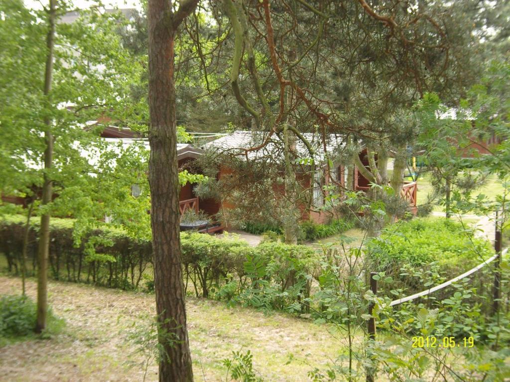 Osrodek Wypoczynkowy Amber Villa Katy Rybackie Ngoại thất bức ảnh